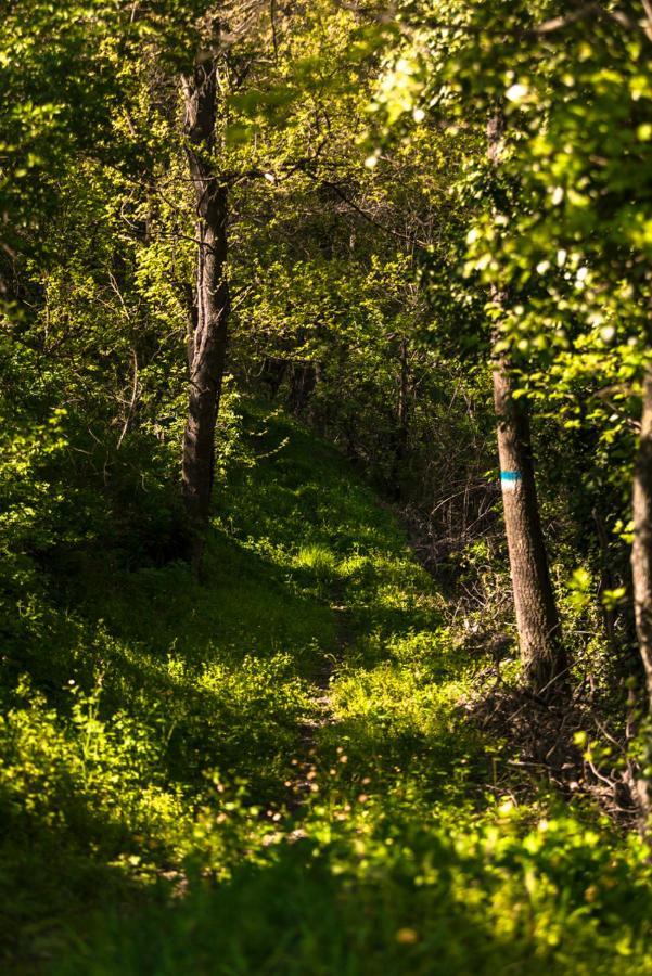 Ostello Podesteria Di Gombola - Arte E Territorio Polinago Zewnętrze zdjęcie